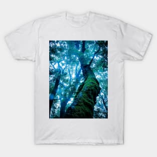 Rainforest Giant T-Shirt